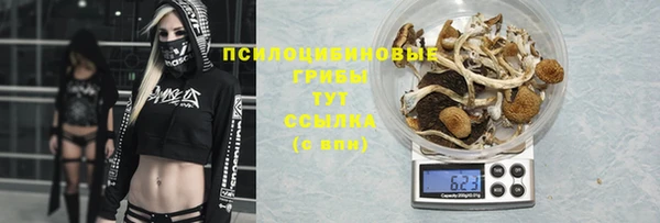 Альфа ПВП Осташков