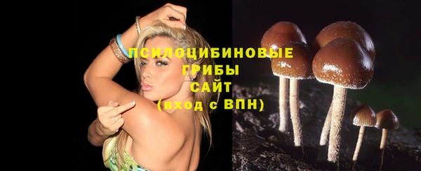 ALPHA-PVP Осинники