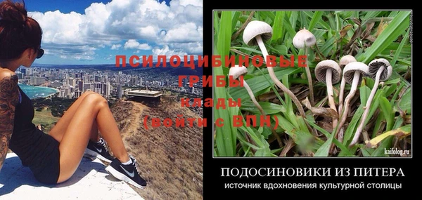 ALPHA-PVP Осинники