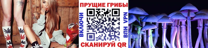 закладка  блэк спрут зеркало  Галлюциногенные грибы Cubensis  Каневская 